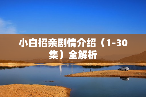 小白招亲剧情介绍（1-30集）全解析