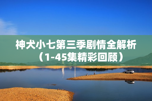 神犬小七第三季剧情全解析（1-45集精彩回顾）