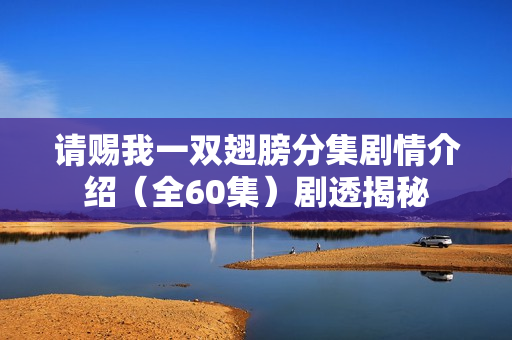 请赐我一双翅膀分集剧情介绍（全60集）剧透揭秘