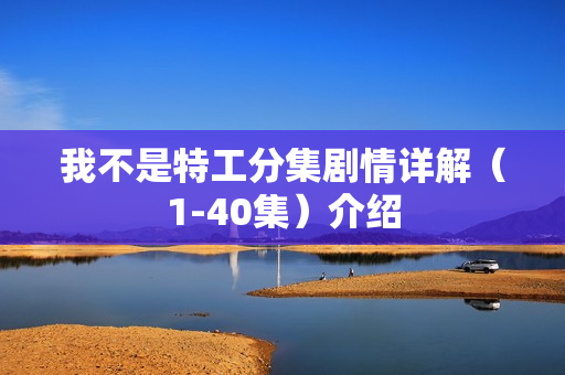 我不是特工分集剧情详解(1-40集)介绍 我不是特工分集剧情详解(1-40集)介绍