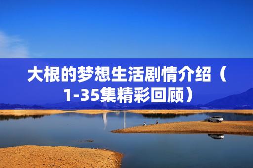 大根的梦想生活剧情介绍（1-35集精彩回顾）