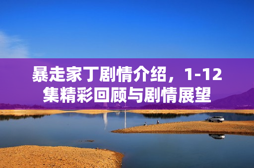 暴走家丁剧情介绍，1-12集精彩回顾与剧情展望