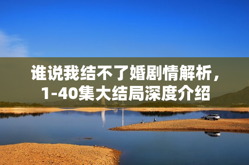 谁说我结不了婚剧情解析，1-40集大结局深度介绍