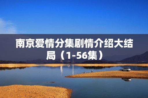 南京爱情分集剧情介绍大结局（1-56集）