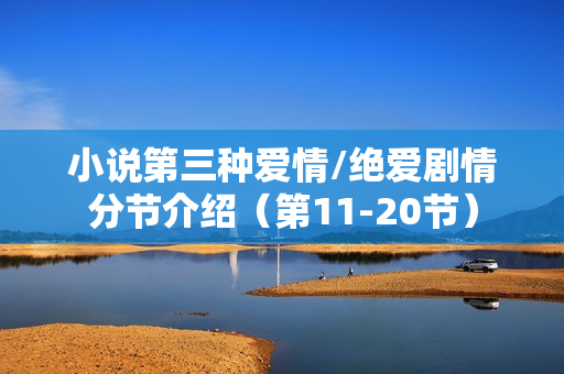 小说第三种爱情/绝爱剧情分节介绍（第11-20节）