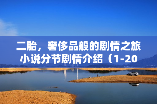 二胎，奢侈品般的剧情之旅小说分节剧情介绍（1-20节）