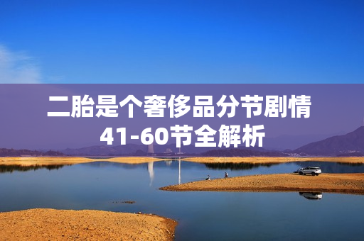 二胎是个奢侈品分节剧情 41-60节全解析