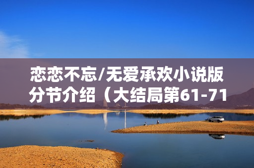 恋恋不忘/无爱承欢小说版分节介绍（大结局第61-71节）