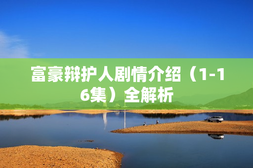 富豪辩护人剧情介绍（1-16集）全解析