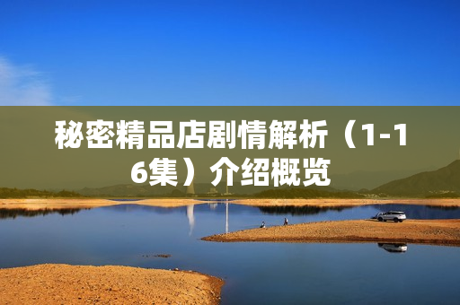 秘密精品店剧情解析（1-16集）介绍概览