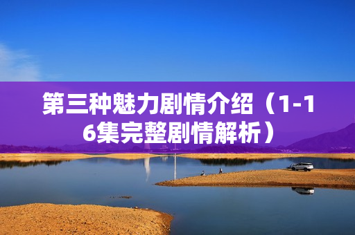 第三种魅力剧情介绍（1-16集完整剧情解析）
