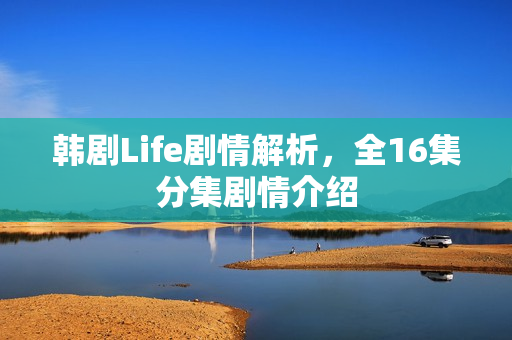 韩剧Life剧情解析,全16集分集剧情介绍 韩剧Life剧情解析,全16集分集剧情介绍