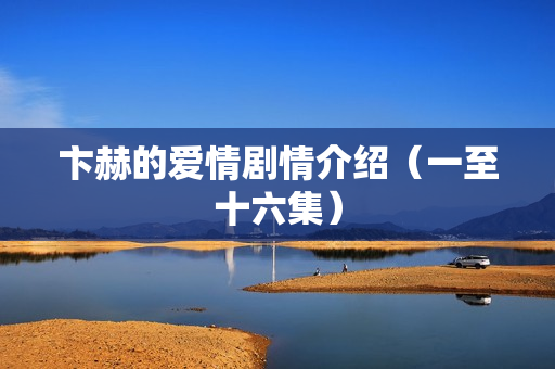 卞赫的爱情剧情介绍(一至十六集) 卞赫的爱情剧情介绍(一至十六集)