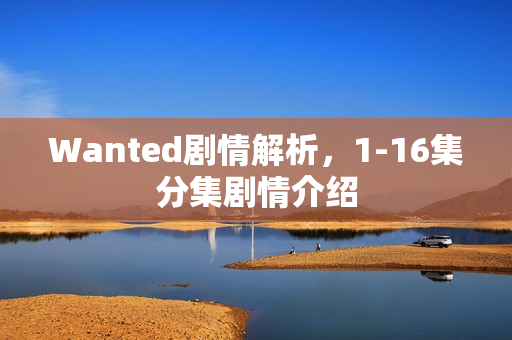 Wanted剧情解析，1-16集分集剧情介绍