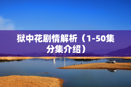 狱中花剧情解析（1-50集分集介绍）