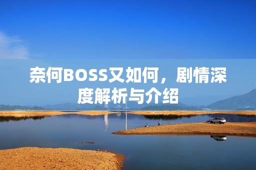 奈何BOSS又如何，剧情深度解析与介绍