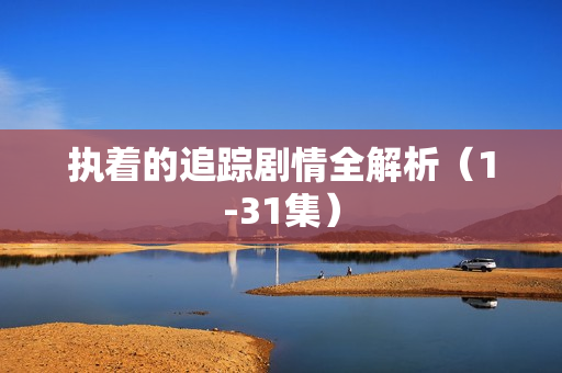 执着的追踪剧情全解析（1-31集）