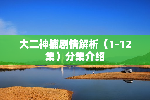 大二神捕剧情解析（1-12集）分集介绍
