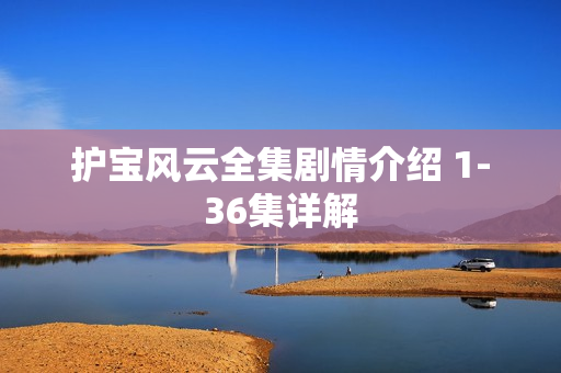 护宝风云全集剧情介绍 1-36集详解