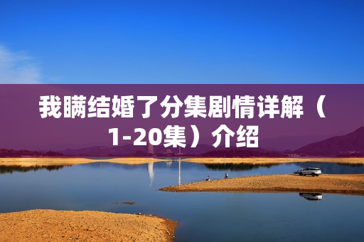 我瞒结婚了分集剧情详解（1-20集）介绍