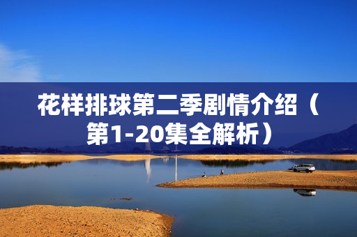 花样排球第二季剧情介绍（第1-20集全解析）