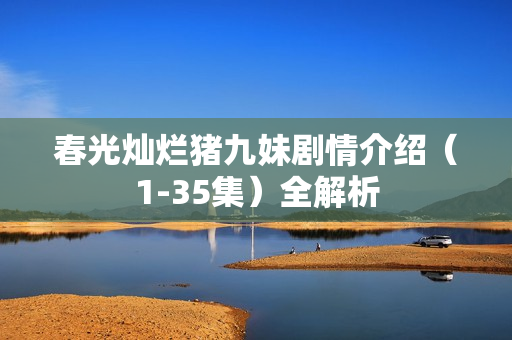 春光灿烂猪九妹剧情介绍（1-35集）全解析