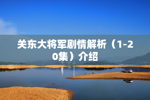 关东大将军剧情解析（1-20集）介绍