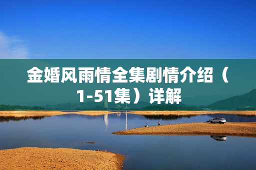 金婚风雨情全集剧情介绍（1-51集）详解