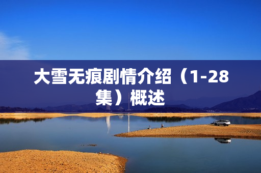 大雪无痕剧情介绍（1-28集）概述