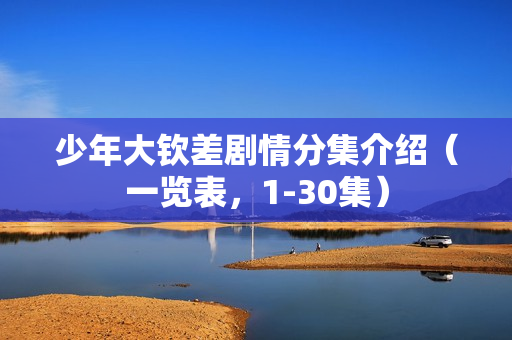 少年大钦差剧情分集介绍（一览表，1-30集）