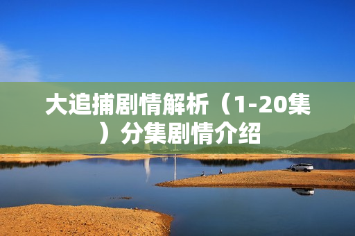 大追捕剧情解析（1-20集）分集剧情介绍