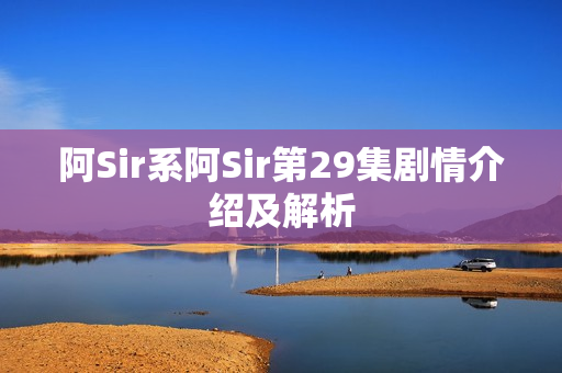 阿Sir系阿Sir第29集剧情介绍及解析