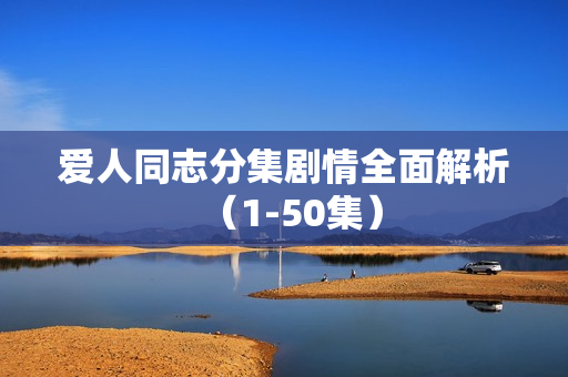 爱人同志分集剧情全面解析（1-50集）