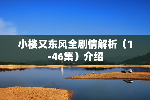 小楼又东风全剧情解析（1-46集）介绍