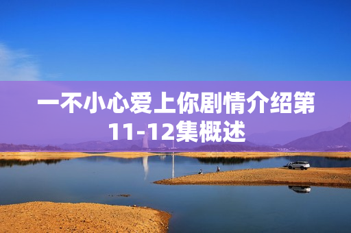 一不小心爱上你剧情介绍第11-12集概述