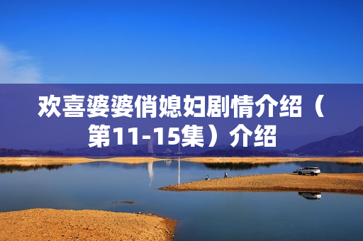 欢喜婆婆俏媳妇剧情介绍(第11-15集)介绍 欢喜婆婆俏媳妇剧情介绍(第11-15集)介绍