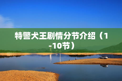 特警犬王剧情分节介绍(1-10节) 特警犬王剧情分节介绍(1-10节)