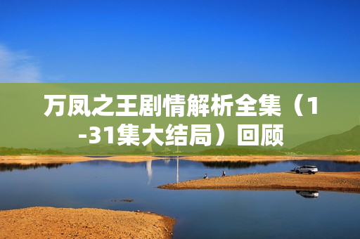 万凤之王剧情解析全集（1-31集大结局）回顾