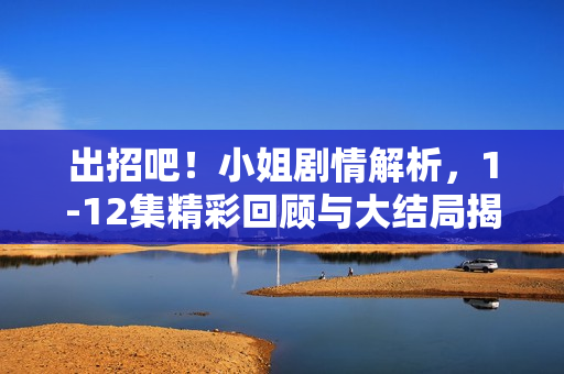 出招吧！小姐剧情解析，1-12集精彩回顾与大结局揭秘