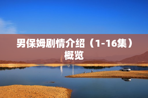 男保姆剧情介绍（1-16集）概览