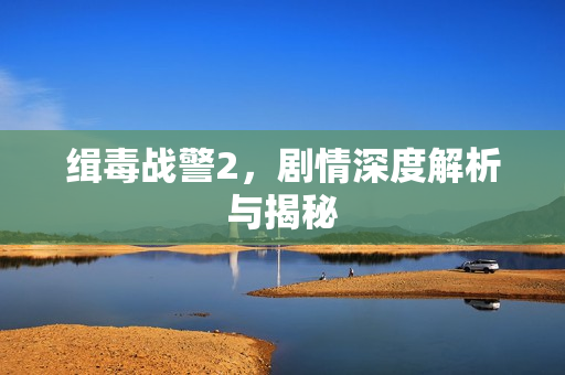缉毒战警2,剧情深度解析与揭秘 缉毒战警2,剧情深度解析与揭秘