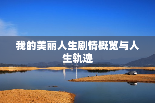 我的美丽人生剧情概览与人生轨迹