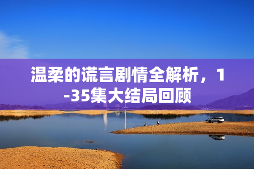 温柔的谎言剧情全解析，1-35集大结局回顾