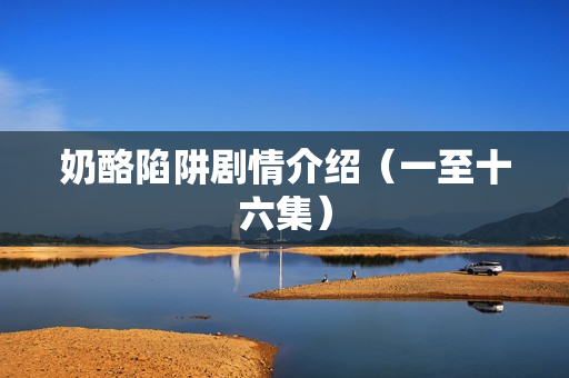 奶酪陷阱剧情介绍（一至十六集）