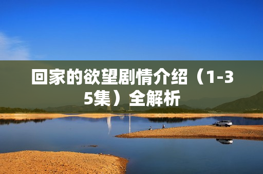 回家的欲望剧情介绍（1-35集）全解析