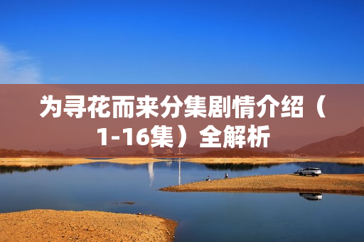 为寻花而来分集剧情介绍(1-16集)全解析 为寻花而来分集剧情介绍(1-16集)全解析