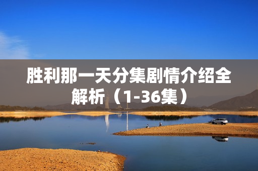 胜利那一天分集剧情介绍全解析（1-36集）