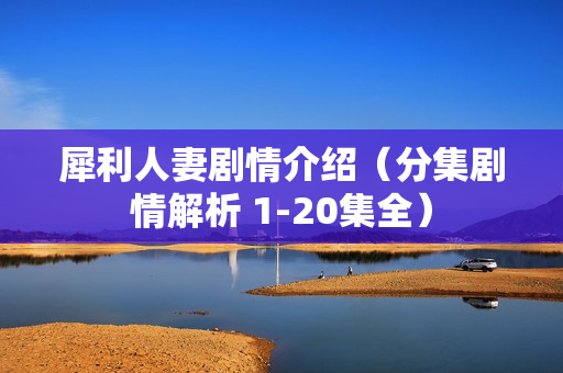 犀利人妻剧情介绍（分集剧情解析 1-20集全）