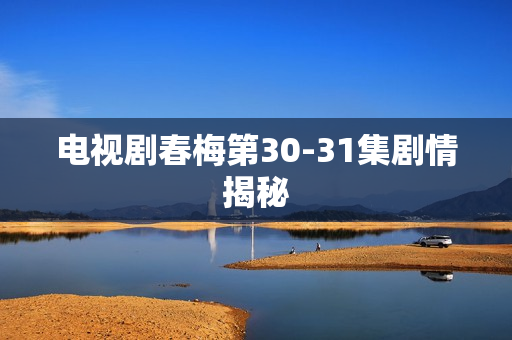 电视剧春梅第30-31集剧情揭秘 电视剧春梅第30-31集剧情揭秘