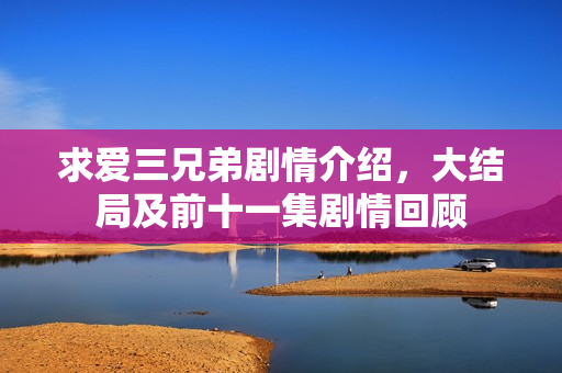 求爱三兄弟剧情介绍，大结局及前十一集剧情回顾